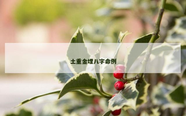 土重金埋八字命例