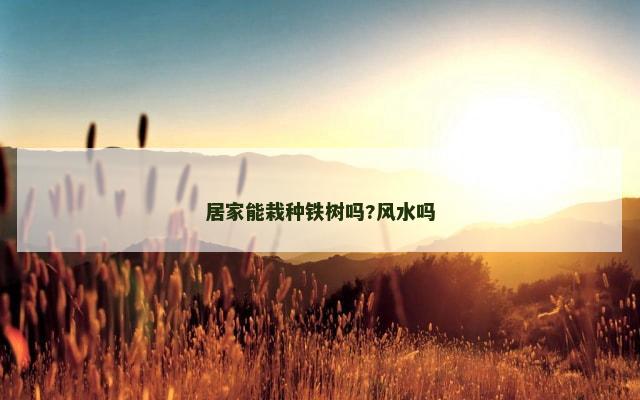 居家能栽种铁树吗?风水吗