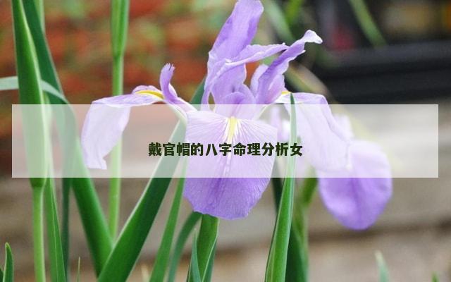 戴官帽的八字命理分析女
