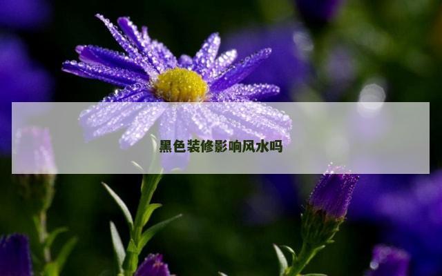 黑色装修影响风水吗
