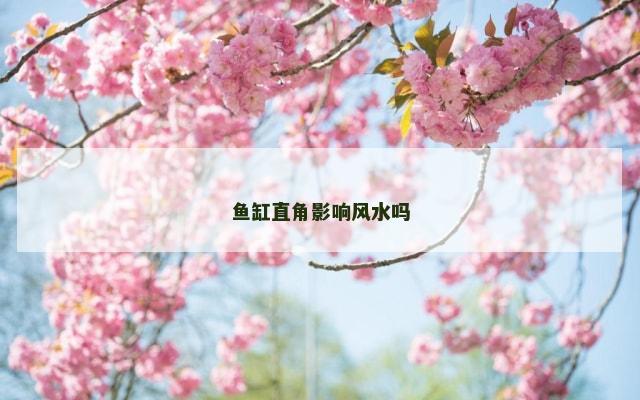 鱼缸直角影响风水吗
