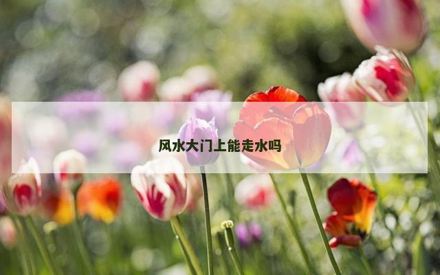 风水大门上能走水吗