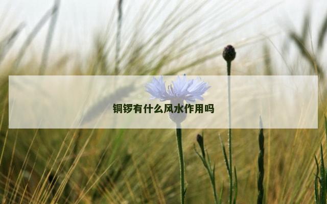 铜锣有什么风水作用吗