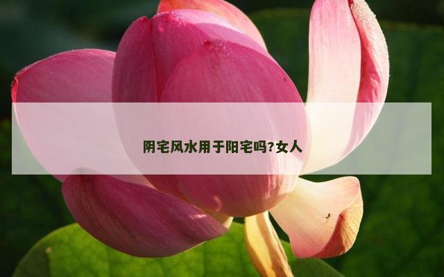 阴宅风水用于阳宅吗?女人