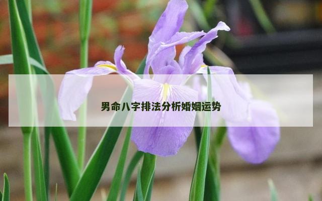 男命八字排法分析婚姻运势