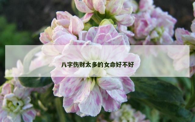 八字伤财太多的女命好不好