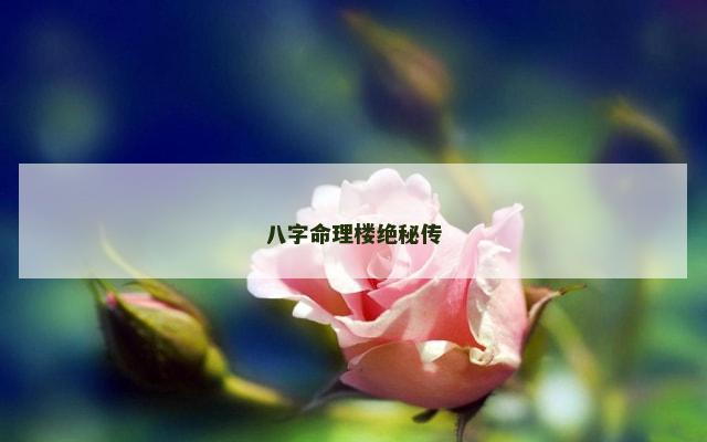 八字命理楼绝秘传