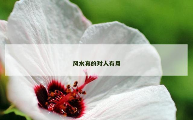 风水真的对人有用