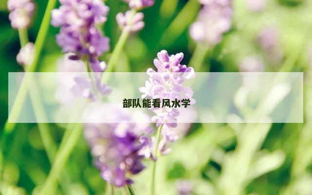 部队能看风水学