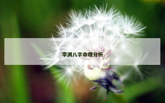 李渊八字命理分析