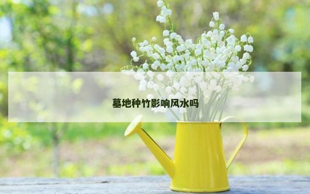 墓地种竹影响风水吗