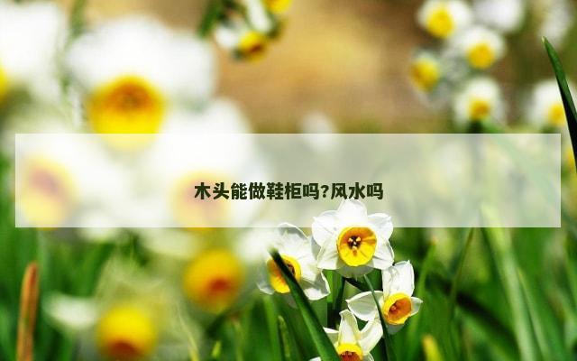木头能做鞋柜吗?风水吗