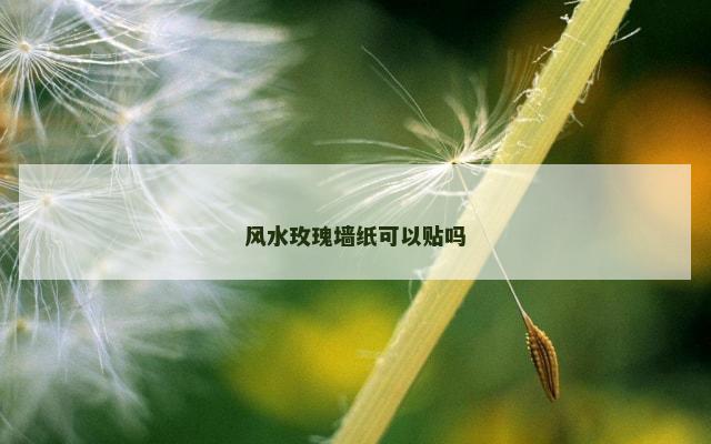 风水玫瑰墙纸可以贴吗