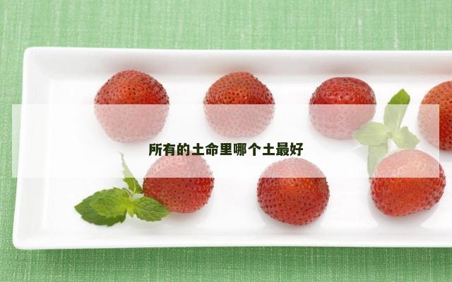 所有的土命里哪个土最好