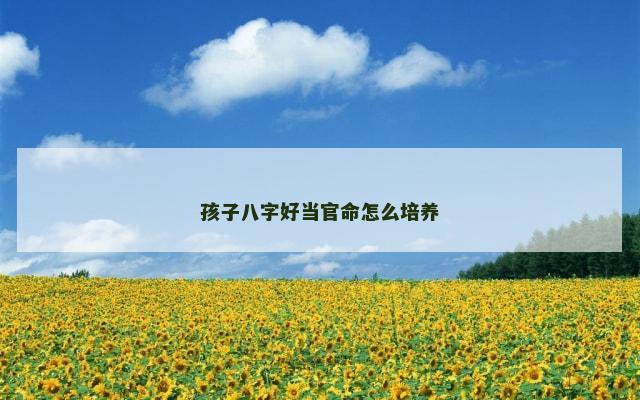孩子八字好当官命怎么培养