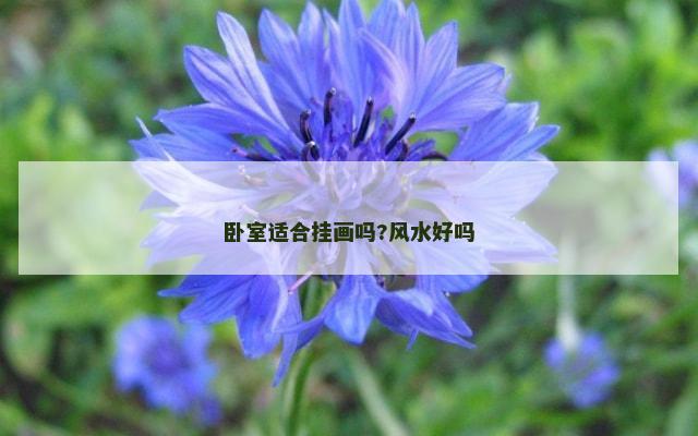 卧室适合挂画吗?风水好吗