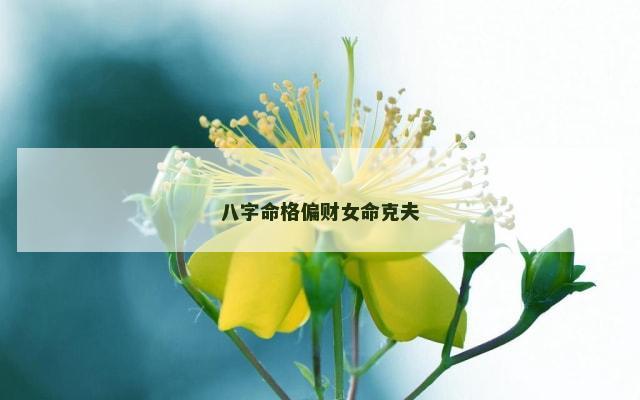 八字命格偏财女命克夫