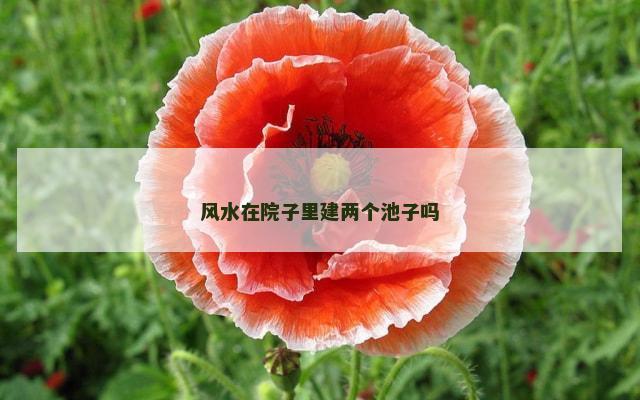 风水在院子里建两个池子吗