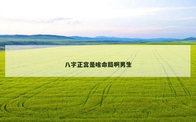 八字正宫是啥命局啊男生