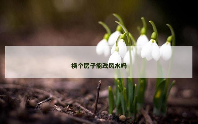 换个房子能改风水吗