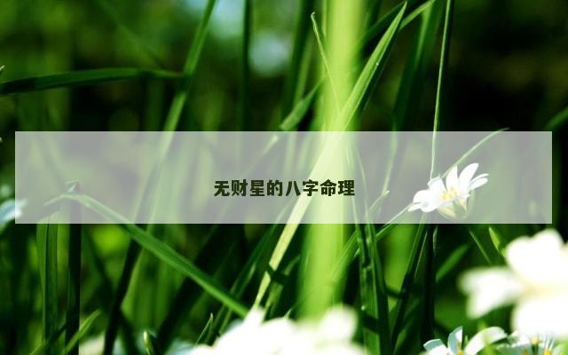 无财星的八字命理
