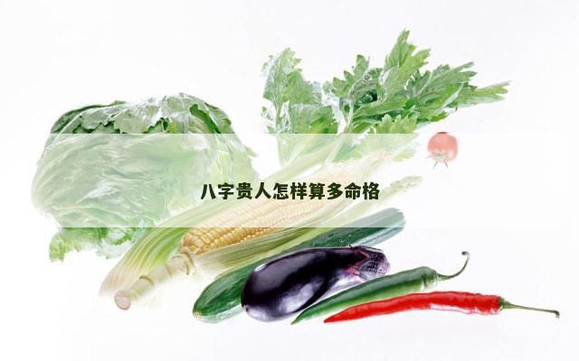 八字贵人怎样算多命格
