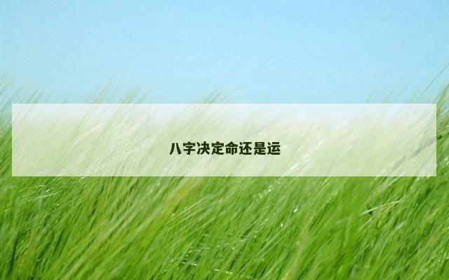 八字决定命还是运