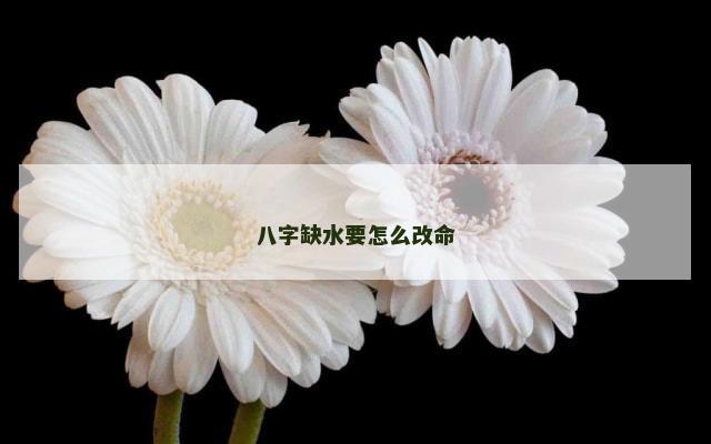 八字缺水要怎么改命