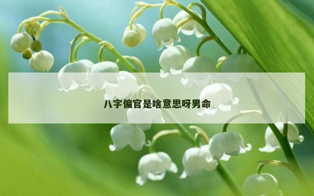 八字偏官是啥意思呀男命