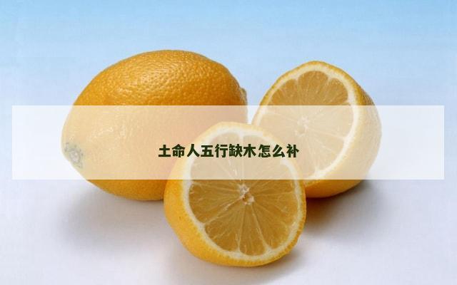 土命人五行缺木怎么补