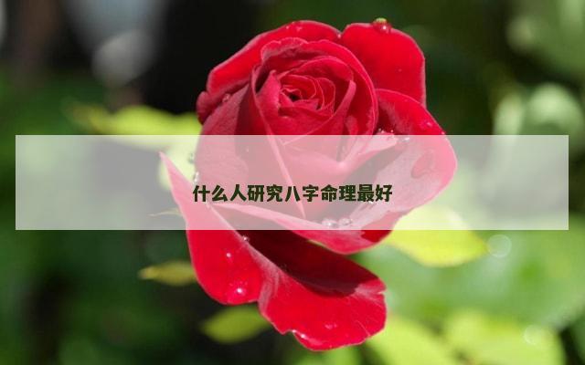 什么人研究八字命理最好