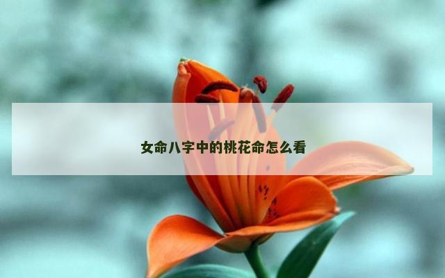 女命八字中的桃花命怎么看