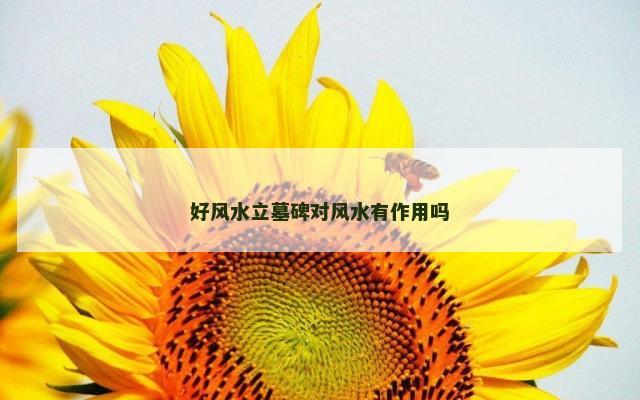 好风水立墓碑对风水有作用吗