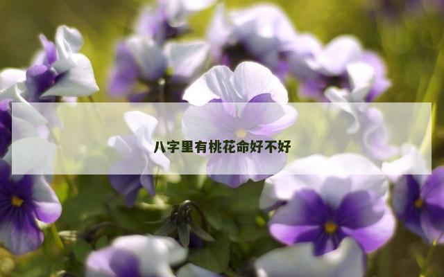 八字里有桃花命好不好