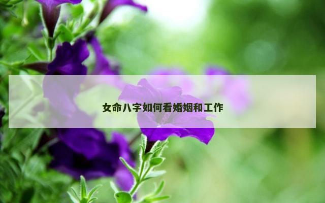 女命八字如何看婚姻和工作