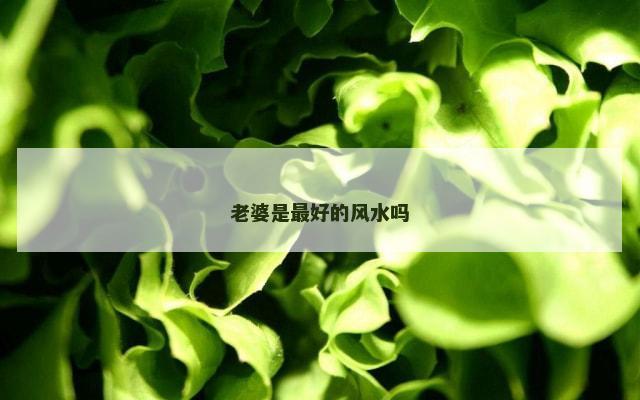 老婆是最好的风水吗