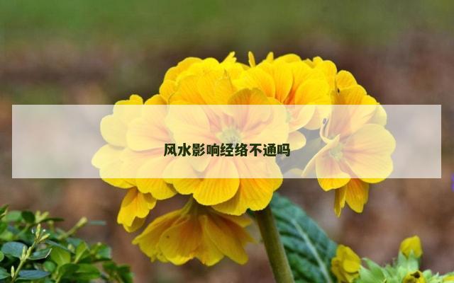 风水影响经络不通吗