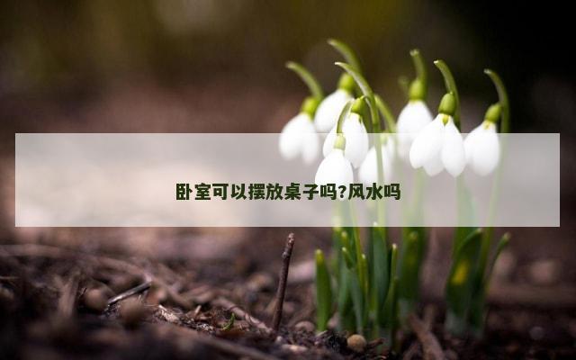 卧室可以摆放桌子吗?风水吗