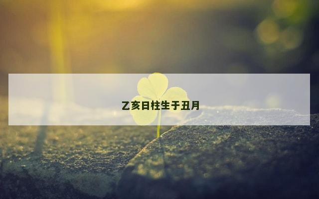 乙亥日柱生于丑月