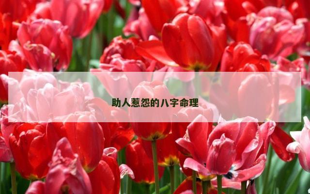 助人惹怨的八字命理