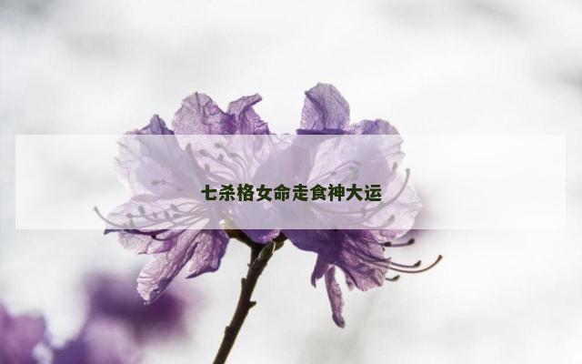七杀格女命走食神大运