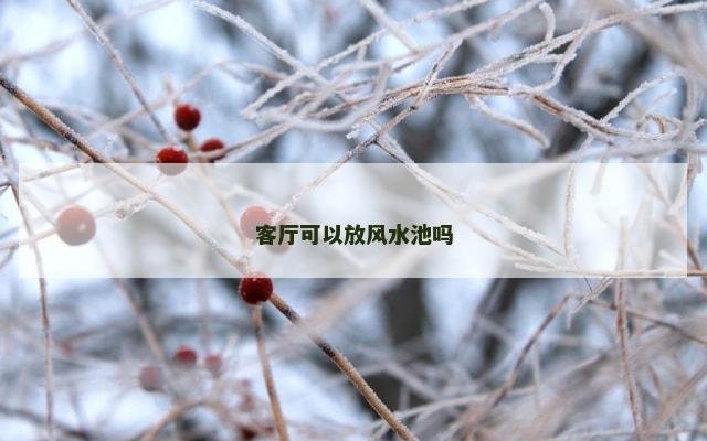 客厅可以放风水池吗