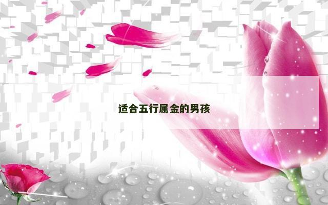 适合五行属金的男孩