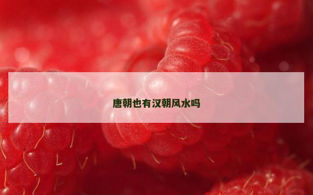 唐朝也有汉朝风水吗