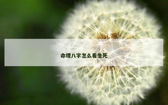 命理八字怎么看生死