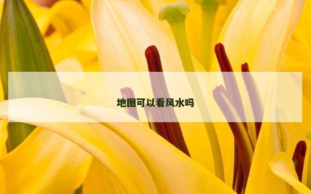 地图可以看风水吗