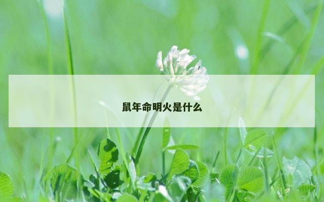 鼠年命明火是什么