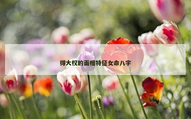 得大权的面相特征女命八字