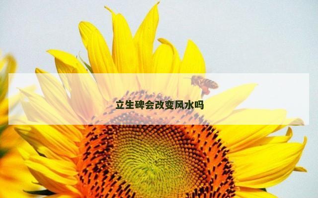 立生碑会改变风水吗