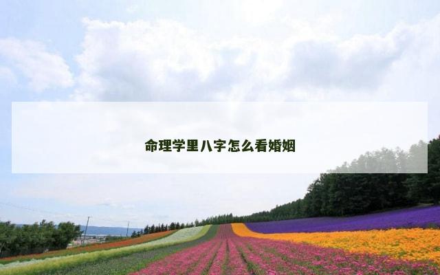 命理学里八字怎么看婚姻